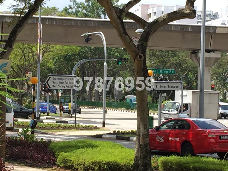 Blk 235 Bukit Panjang Ring Road (Bukit Panjang), HDB 5 Rooms #73494072